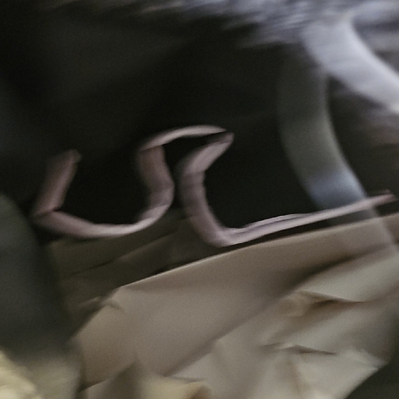 Wildfox Heart Patterned Black and Gray Backpack - Picture 6 of 7